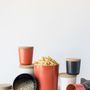 Food storage - Small Storage Canister - Persimmon - EKOBO