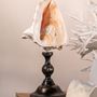 Objets de décoration - Collection Calypso - ATELIERS DAVOY