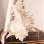 Objets de décoration - Collection Calypso - ATELIERS DAVOY