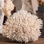 Objets de décoration - Collection Calypso - ATELIERS DAVOY