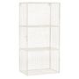Shelves - Iron Wall Cabinet - MADAM STOLTZ