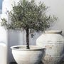 Pots de fleurs - Poteries - ATELIERS DAVOY