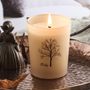 Candles - Shade Of Nature - Vanilla Scented Candle 100 g. - RUBY