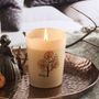 Candles - Shade Of Nature - Apple Cinnamon Scented Candle 100 g. - RUBY