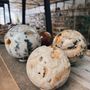 Decorative objects - PETRIFIED WOOD | Decorative objects of petrified wood - XYLEIA PETRIFIED WOOD