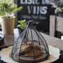 Trays - 100% abaca food covers - FIORIRA UN GIARDINO SRL