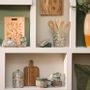 Assiettes au quotidien - COLLECTION LINA - AMADEUS