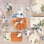 Assiettes au quotidien - COLLECTION LISON - AMADEUS