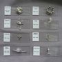 Jewelry - Silver Jewelry by biology - WILD TYPE