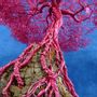 Objets personnalisables - ZEN BONSAI CHERRY BLOSSOM - MOSCHE BIANCHE