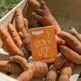 Soaps - Bonne Mine Surgras Soap - LEGGUN