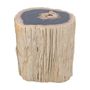 Pièces uniques - Tables d’appoint en bois pétrifié - XYLEIA PETRIFIED WOOD