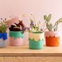 Office design and planning - Flower pots - AVEVA DESIGN