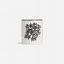 Bougies - Reine de la nuit florale - Bougie parfumée - SHAKU