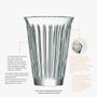 Glass - Pack of 6 ZINC long drinks - LA ROCHÈRE