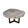 Office furniture and storage - Earth-toned petrified wood coffee tables - XYLEIA PETRIFIED WOOD