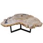 Office furniture and storage - Earth-toned petrified wood coffee tables - XYLEIA PETRIFIED WOOD