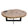 Office furniture and storage - Earth-toned petrified wood coffee tables - XYLEIA PETRIFIED WOOD