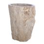 Washbasins - Freestanding Petrified Wood Washbasins - XYLEIA PETRIFIED WOOD