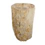 Washbasins - Freestanding Petrified Wood Washbasins - XYLEIA PETRIFIED WOOD