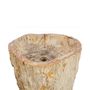 Washbasins - Freestanding Petrified Wood Washbasins - XYLEIA PETRIFIED WOOD