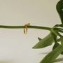 Jewelry - GOLDEN RING VOL - JOIDART