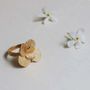Jewelry - PAMPALONIA GOLDEN RING - JOIDART
