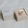 Jewelry - PAMPALONIA SILVER RING - JOIDART