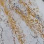 Paintings - "Golden wings" acrylic painting epoxy resin finish - TURIK&ART (KSENIIA TURIK)