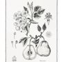 Linge d'office - Pereira / Poirier - Linge de cuisine - LUZ EDITIONS