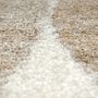 Tapis - Tapis Apolo 2 Naturel 200 x 290 - MAISON VIVARAISE - SDE VIVARAISE WINKLER