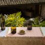 Table cloths - Recycled Coated Placemat Citrus Terracotta 33 X 48 - MAISON VIVARAISE - SDE VIVARAISE WINKLER