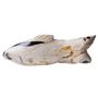 Decorative objects - Petrified Wood Fish Sculptures - XYLEIA PETRIFIED WOOD