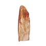 Unique pieces - Small Petrified Wood Sculptures - XYLEIA PETRIFIED WOOD