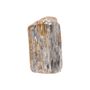 Unique pieces - Small Petrified Wood Sculptures - XYLEIA PETRIFIED WOOD