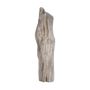 Unique pieces - Small Petrified Wood Sculptures - XYLEIA PETRIFIED WOOD
