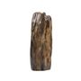 Unique pieces - Small Petrified Wood Sculptures - XYLEIA PETRIFIED WOOD