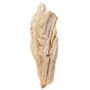 Outdoor decorative accessories - Petrified Wood Garden Sculptures - XYLEIA PETRIFIED WOOD