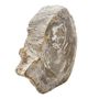 Outdoor decorative accessories - Petrified Wood Garden Sculptures - XYLEIA PETRIFIED WOOD