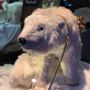 Other Christmas decorations - Santa Claus & polar bear - ANIMATE FACTORY