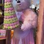Decorative objects - Cuisine et Gourmandise - ANIMATE FACTORY