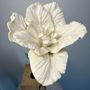 Ceramic - Parrot Tulip - FLEURIR L AVENIR