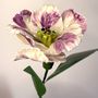 Ceramic - Parrot Tulip - FLEURIR L AVENIR