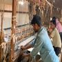 Unique pieces - Ombre Sunrise to Sunset Rainbow Handwoven Custom Rug Designers Studios - INDIAN RUG GALLERY