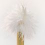 Customizable objects - SABELLI® - LUX TEMPORIS - 4D LIGHTS