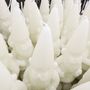 Decorative objects - Ceralacca - Dwarfs shaped candles - GRAZIANI
