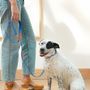 Pet accessories - The Fritz Dog Leash - APPROVED BY FRITZ