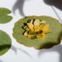 Candy - Yü Lotus Set - A sensory ritual to reconnect with yourself - YÜSSÉE