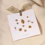 Jewelry - Set of mismatched stainless steel earrings - LES CLEIAS