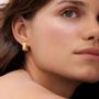 Jewelry - SMALL GOLDEN EARRINGS LIGNIS WIDE - JOIDART